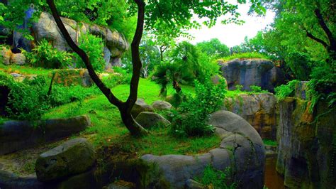 full hd 3d wallpapers 1920x1080 free download|Full HD 3D Wallpapers 1920x1080 (67+ images).